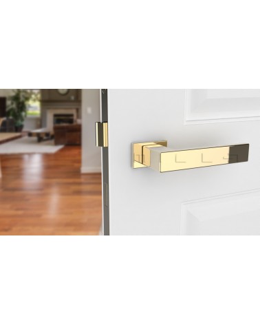 PINA rectangular plate door handle design handle colour 3 front view mounted on a door