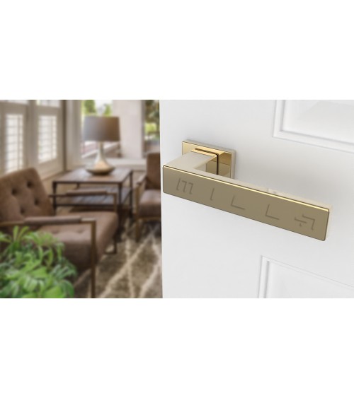 PINA rectangular plate door handle design handle colour 3