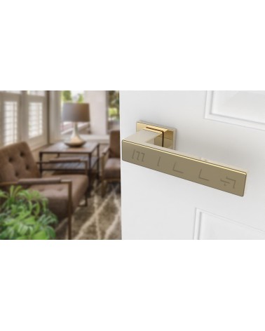 PINA rectangular plate door handle design handle colour 3 angled top view mounted on a door