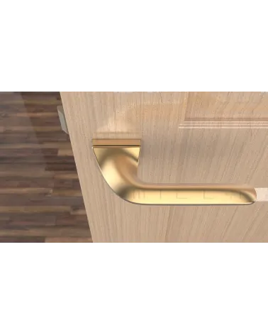 GLADIOLA rectangular backplate door handle design handle colour 4 top view mounted on a door