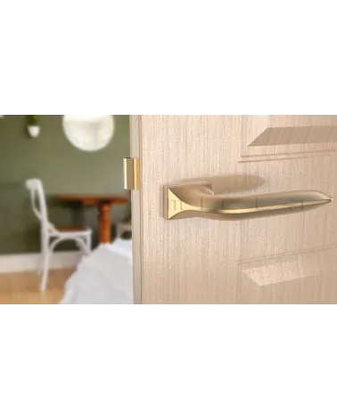 GLADIOLA rectangular backplate door handle design handle colour 4 front view mounted on a door