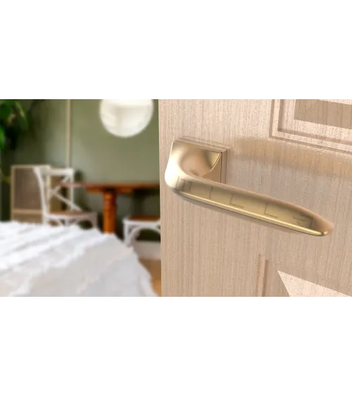 GLADIOLA rectangular plate door handle design handle colour 4