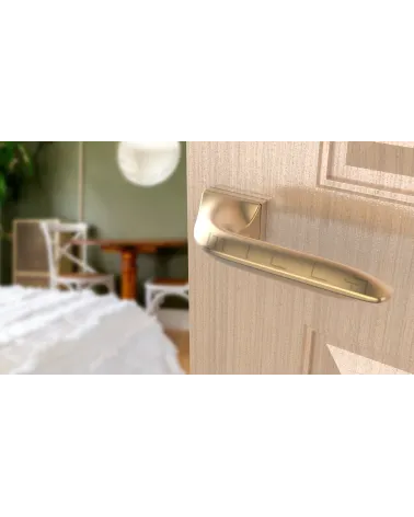 GLADIOLA rectangular backplate door handle design handle colour 4 angled top view mounted on a door