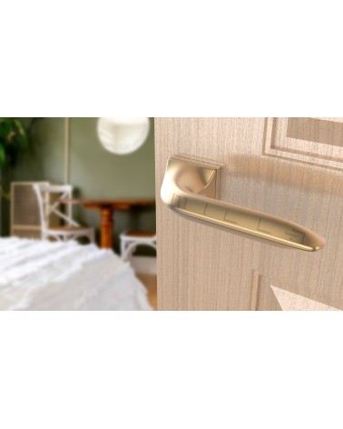GLADIOLA rectangular backplate door handle design handle colour 4 angled top view mounted on a door