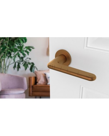 LIRA round plate door handle designer handle colour 4 angled top view mounted on a door