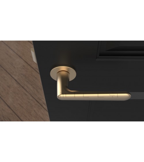 ARIA round plate door handle design handle colour 2