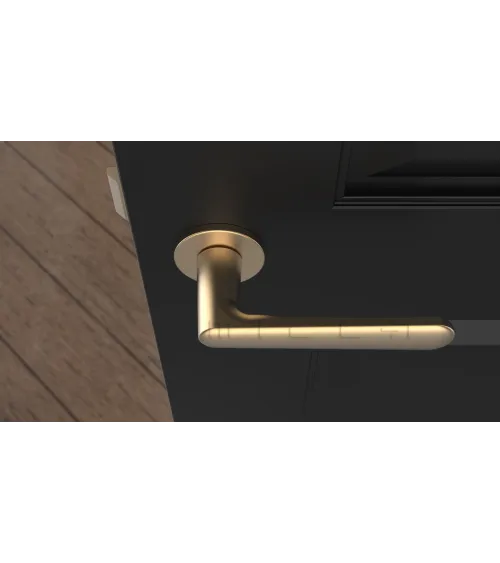 ARIA round plate door handle design handle colour 2