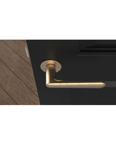 ARIA round plate door handle design handle colour 2 top view mounted on a door