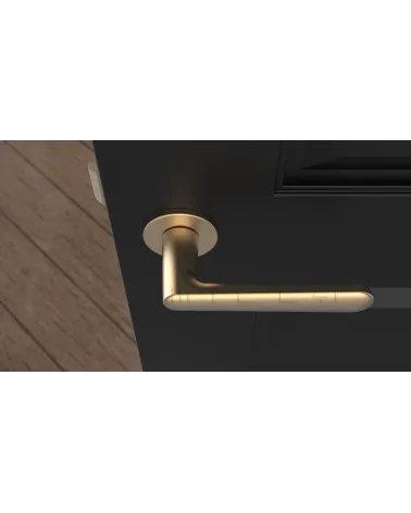 ARIA round plate door handle design handle colour 2 top view mounted on a door