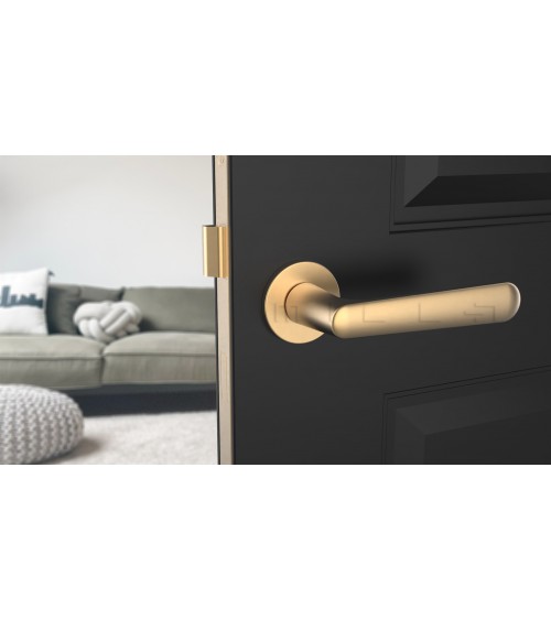 ARIA round plate door handle design handle colour 2