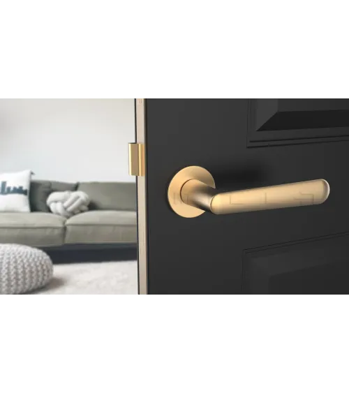 ARIA round plate door handle design handle colour 2