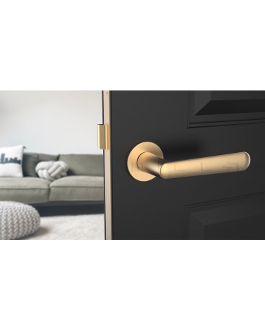 ARIA round plate door handle design handle colour 2 front view mounted on a door