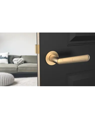 ARIA round plate door handle design handle colour 2 front view mounted on a door