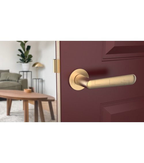 ARIA round plate door handle design handle colour 2