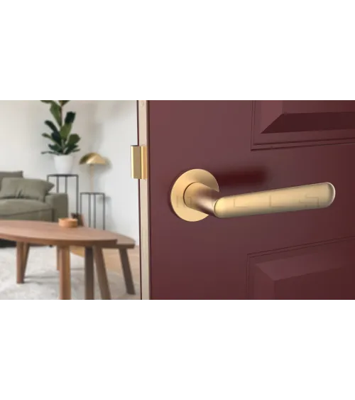 ARIA round plate door handle design handle colour 2