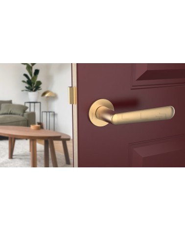 ARIA round plate door handle design handle colour 2 front view mounted on a half-open door