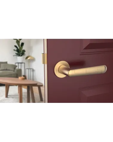 ARIA round plate door handle design handle colour 2 front view mounted on a half-open door