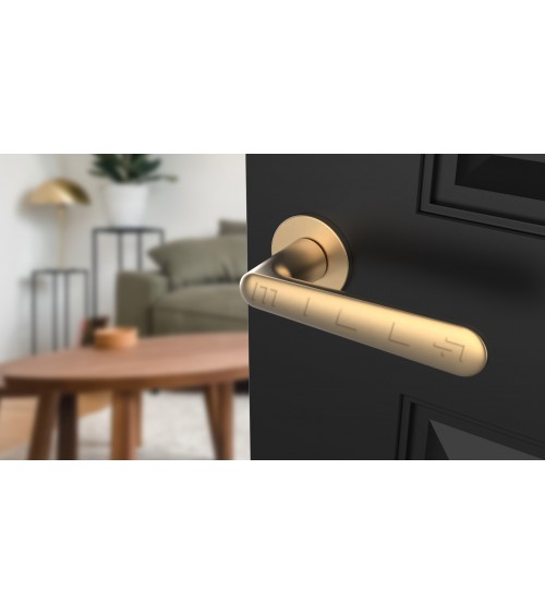 ARIA round plate door handle design handle colour 2