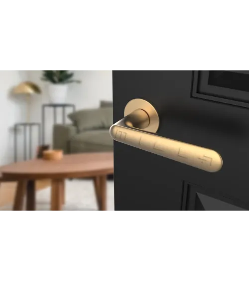 ARIA round plate door handle design handle colour 2