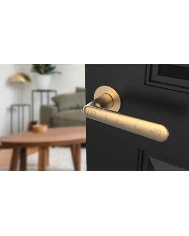 ARIA round plate door handle design handle colour 2 tilted top view mounted on a door