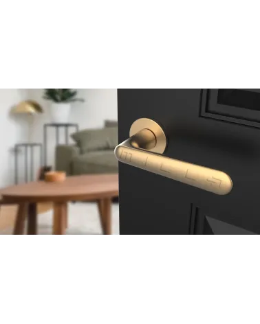 ARIA round plate door handle design handle colour 2 tilted top view mounted on a door