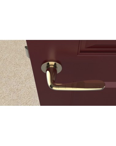 HIACYNTA round plate door handle design handle colour 1 top view mounted on a door