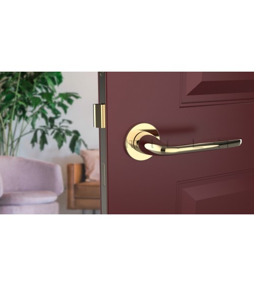 HIACYNTA round plate door handle designer handle colour 1
