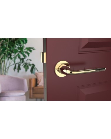 HIACYNTA round plate door handle design handle colour 1 front view mounted on a door