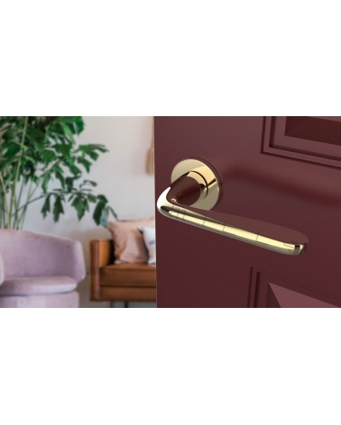 HIACYNTA round plate door handle design handle colour 1 angled top view mounted on a door