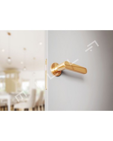 ALORA round plate door handle design handle colour 4 mounted on a door