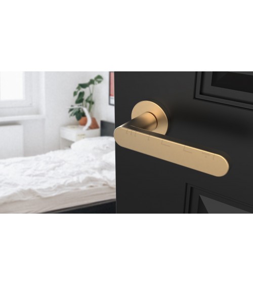 ALORA door handle design handle colour 1