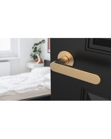 ALORA round plate door handle design handle colour 1 angled top view mounted on a door