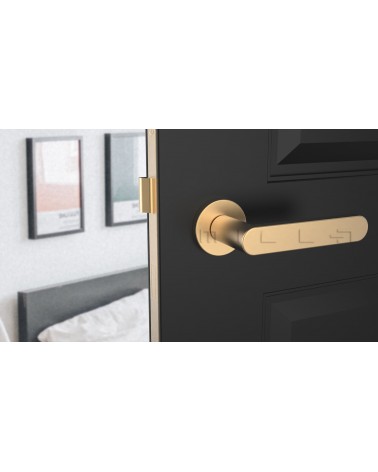 ALORA round plate door handle design handle colour 1 front view mounted on a door