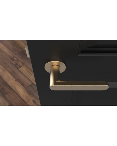 Modern ALORA door handle design handle colour 1 top view mounted on a door