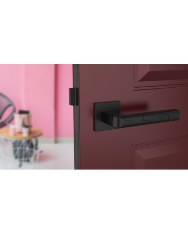 SALICE square plate door handle designer handle colour 2 front view mounted on a door