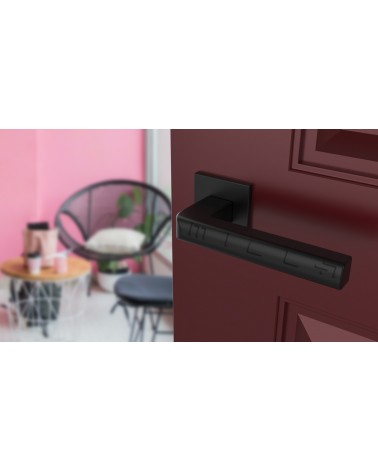 SALICE square plate door handle designer handle colour 2 angled top view mounted on a door