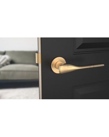 ORCHIDE zamak door handle design handle colour 3 front view mounted on a door