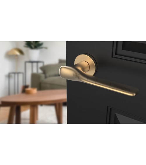 ORCHIDE zamak door handle design handle colour 3