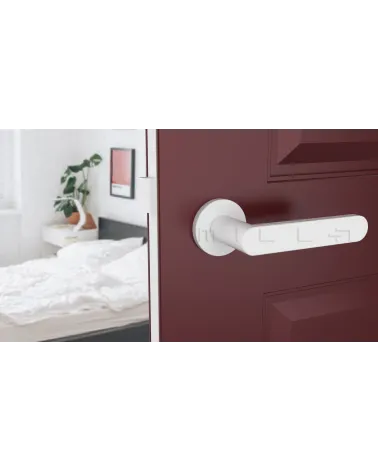 ALORA zamak door handle design handle colour 5 front view mounted on a door