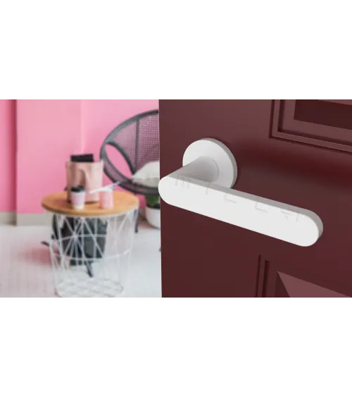 ALORA zamak door handle design handle colour 5