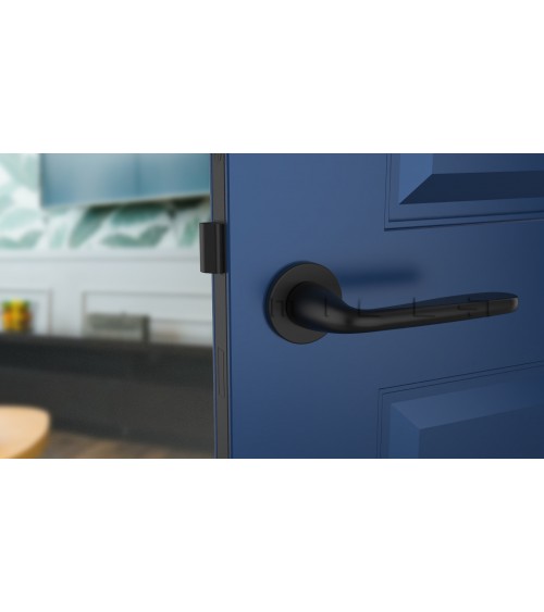 HIACYNTA zamak door handle designer handle