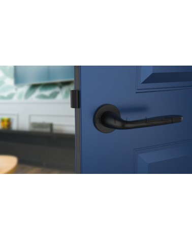 HIACYNTA zamak door handle design handle front view mounted on a door