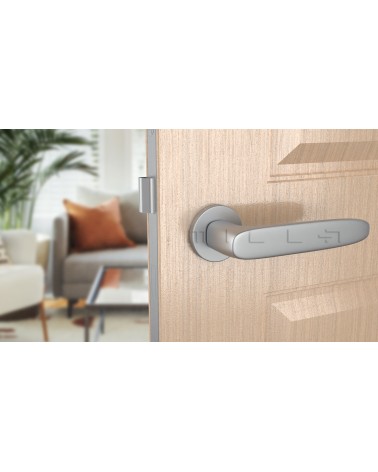 ROSA zamak door handle design handle colour 1 front view mounted on a door