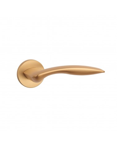 ROBINE round plate door handle design hardware