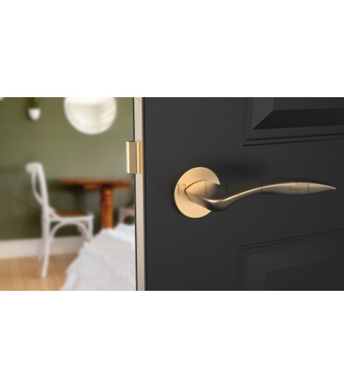 ROBINE round plate door handle design hardware