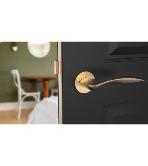 ROBINE round plate door handle design hardware
