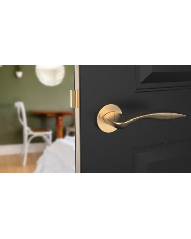 ROBINE door handle on round plate design hardware colour 1 front view mounted on a door