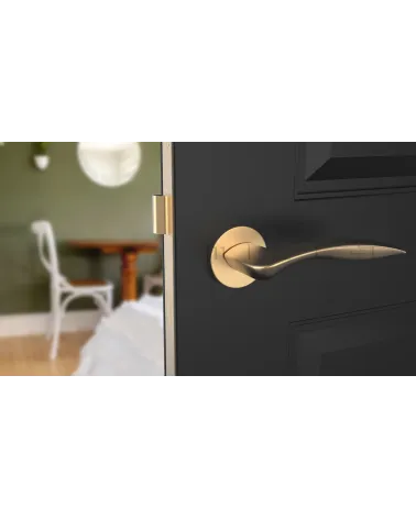 ROBINE door handle on round plate design hardware colour 1 front view mounted on a door