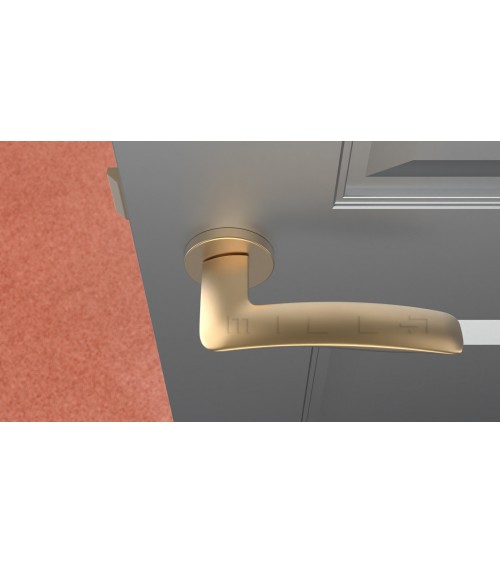 ROBINE round plate door handle design hardware