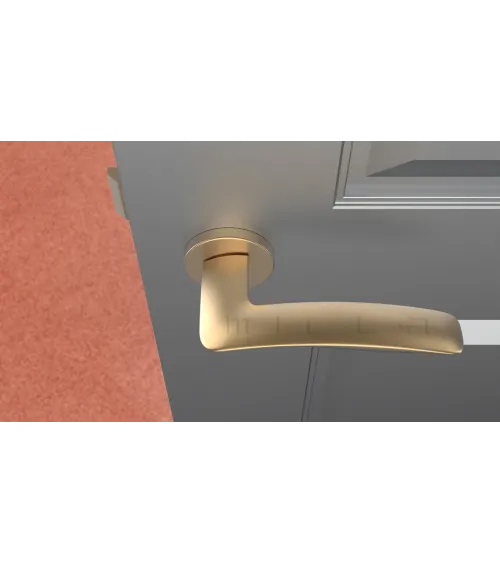 ROBINE round plate door handle design hardware